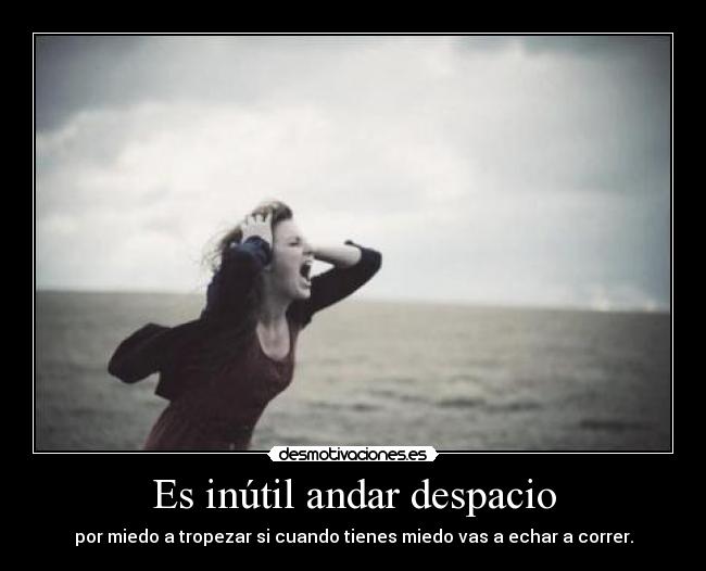 carteles zancadas desmotivaciones