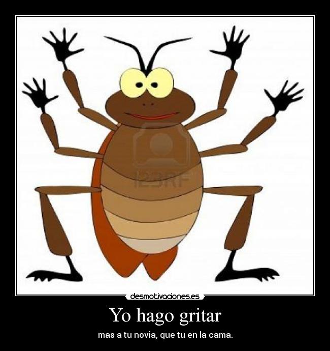 Yo hago gritar - mas a tu novia, que tu en la cama.