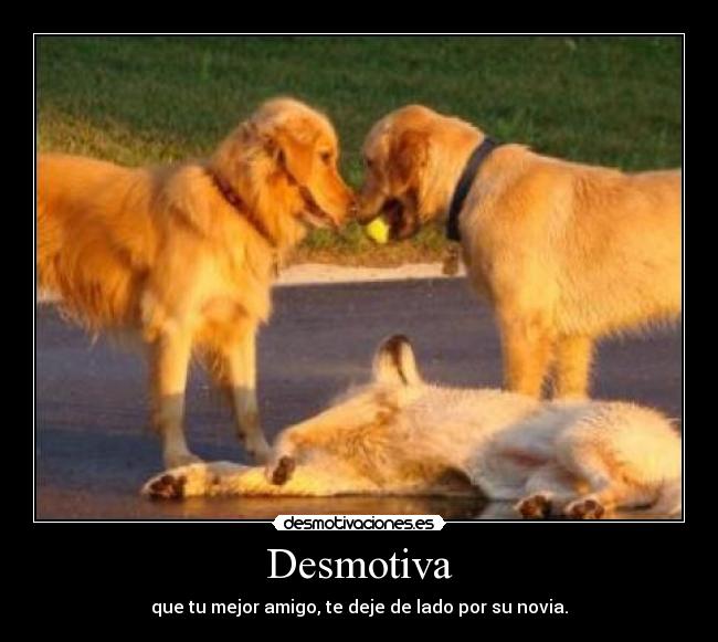 Desmotiva - que tu mejor amigo, te deje de lado por su novia.