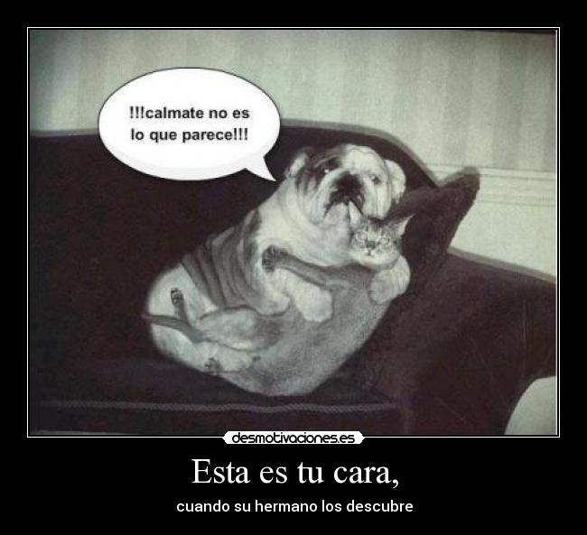 Esta es tu cara, - cuando su hermano los descubre