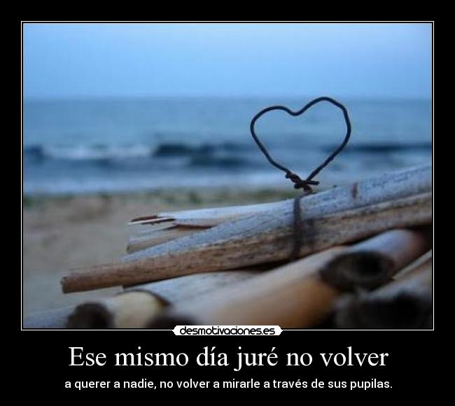 Ese mismo día juré no volver - a querer a nadie, no volver a mirarle a través de sus pupilas.