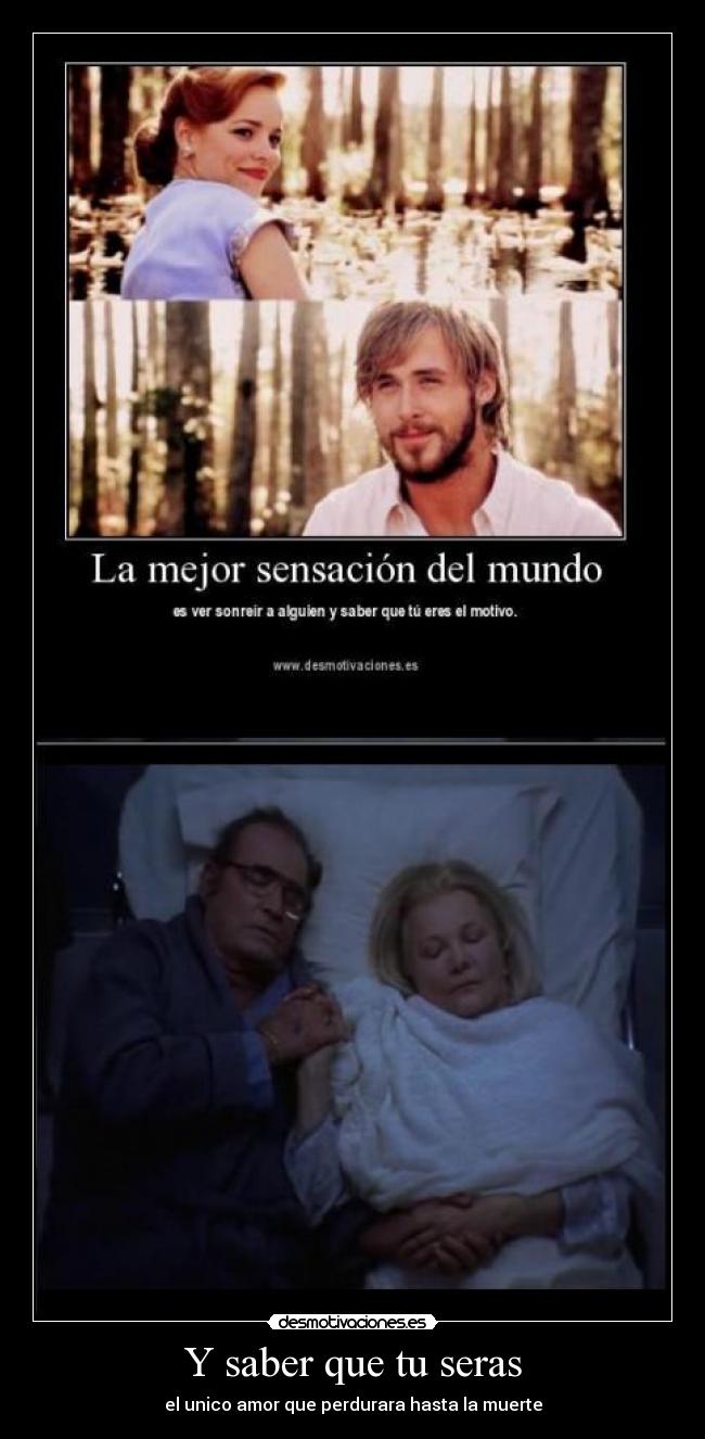 Y saber que tu seras - 