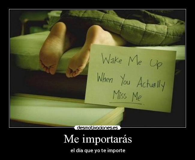 Me importarás - 