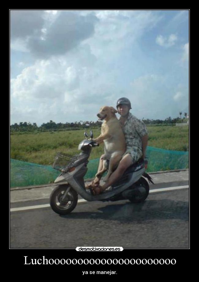 carteles xdxd desmotivaciones