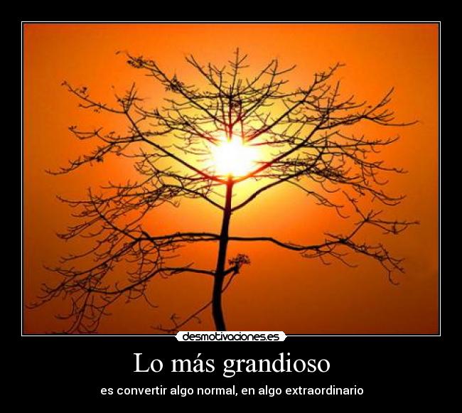 carteles desmotivaciones