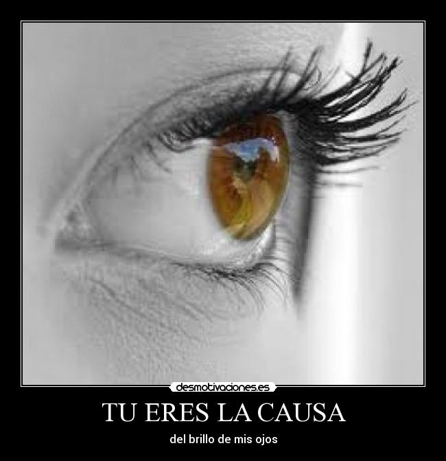 TU ERES LA CAUSA -