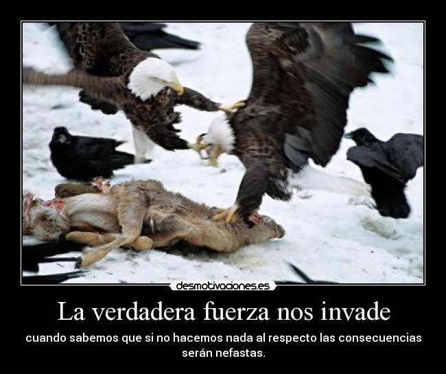 La verdadera fuerza nos invade - cuando sabemos que si no hacemos nada al respecto las consecuencias
serán nefastas.