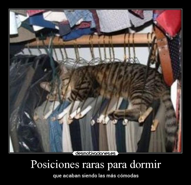 Posiciones raras para dormir - 