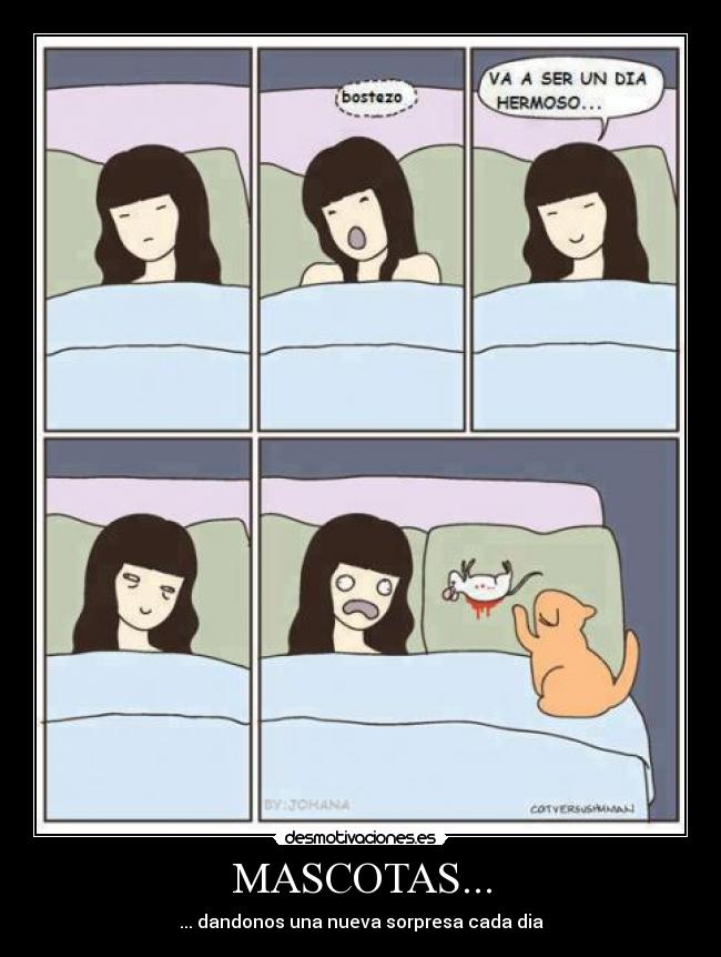 MASCOTAS... - ... dandonos una nueva sorpresa cada dia