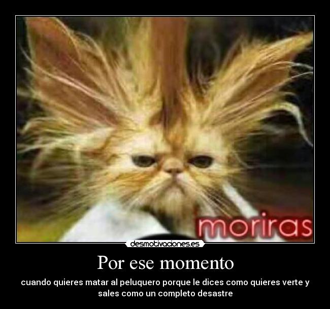 Por ese momento - cuando quieres matar al peluquero porque le dices como quieres verte y
sales como un completo desastre