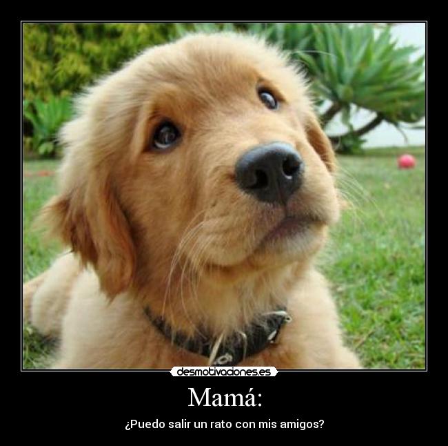 Mamá: - ¿Puedo salir un rato con mis amigos?