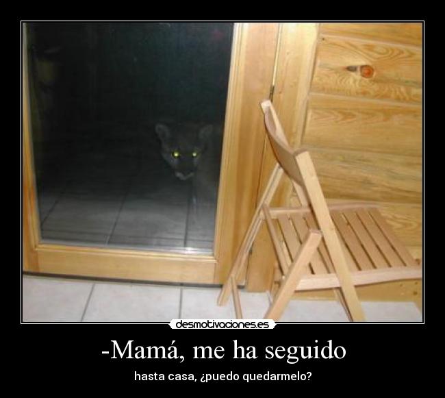 -Mamá, me ha seguido - 