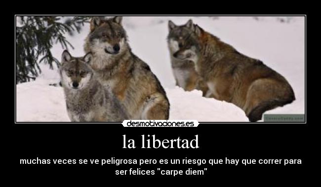la libertad - muchas veces se ve peligrosa pero es un riesgo que hay que correr para
ser felices carpe diem