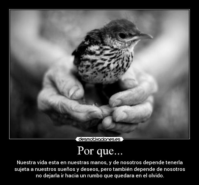 Por que... -