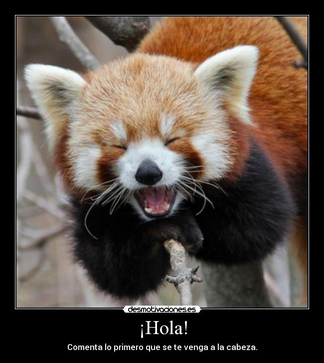 ¡Hola! -