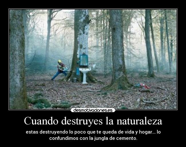 Cuando destruyes la naturaleza -