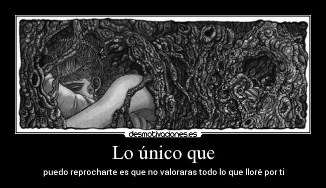 Lo único que - puedo reprocharte es que no valoraras todo lo que lloré por ti