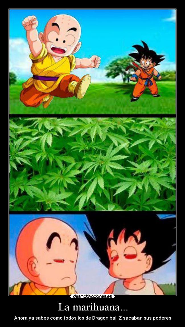 carteles marihuana dragon ball poder sabes desmotivaciones