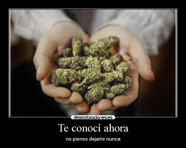 Te conocí ahora - no pienso dejarte nunca