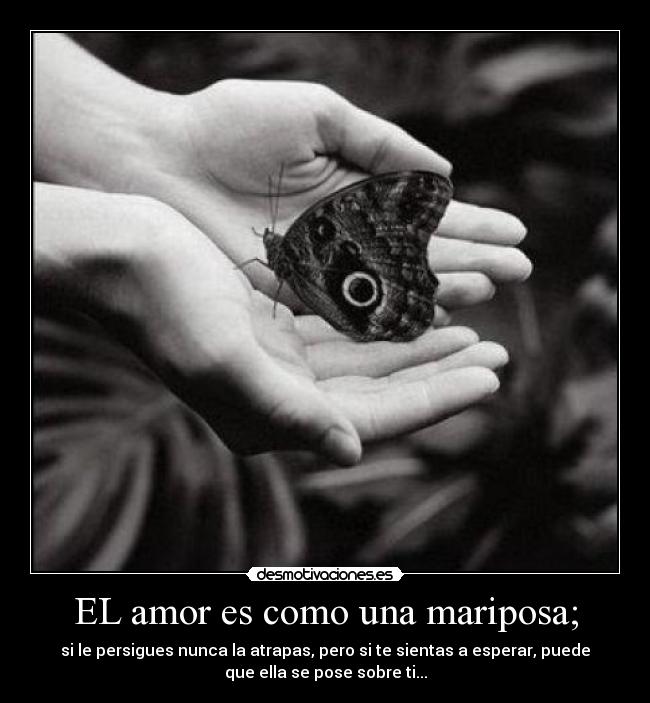 EL amor es como una mariposa; - si le persigues nunca la atrapas, pero si te sientas a esperar, puede
que ella se pose sobre ti...