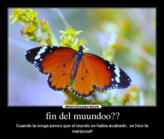 carteles jjj desmotivaciones