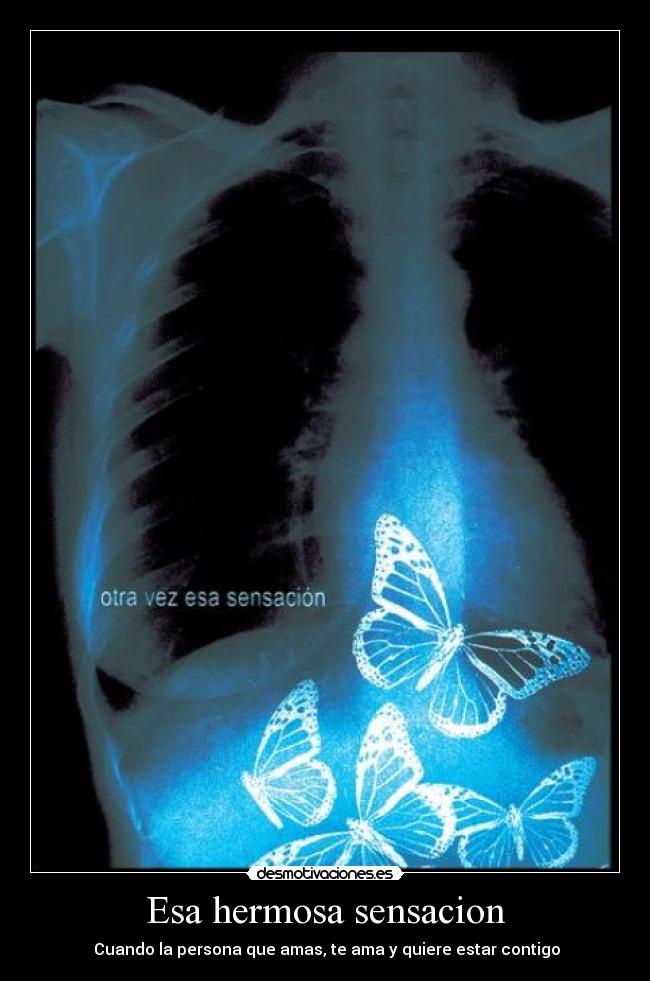 Esa hermosa sensacion - 