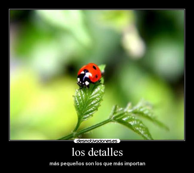 los detalles - más pequeños son los que más importan