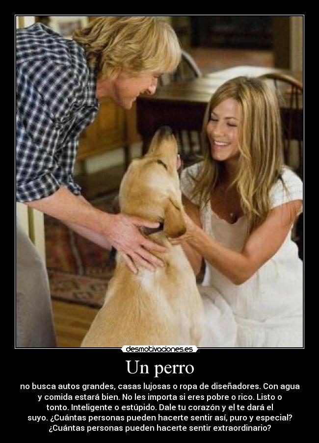 carteles marley and desmotivaciones