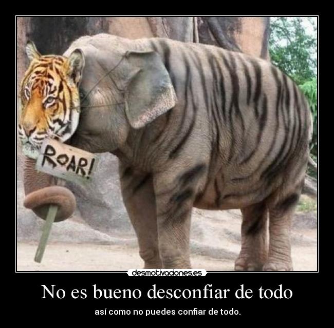 carteles tigre gordo gris con rayas negras que intenta parecerse elefante profesor caos desmotivaciones