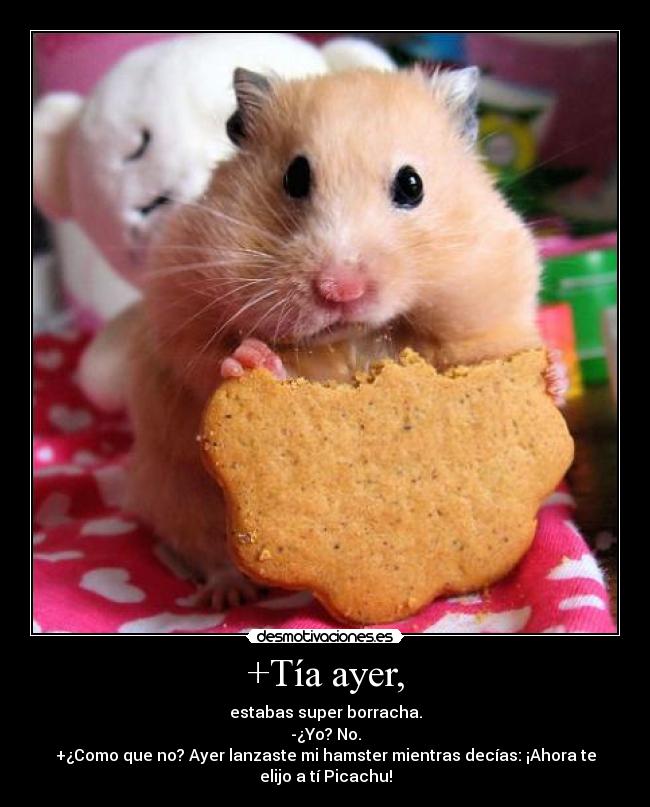 +Tía ayer, - estabas super borracha.
-¿Yo? No.
+¿Como que no? Ayer lanzaste mi hamster mientras decías: ¡Ahora te
elijo a tí Picachu!