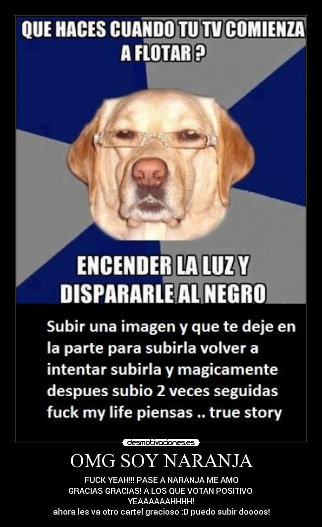 OMG SOY NARANJA - FUCK YEAH!!! PASE A NARANJA ME AMO
GRACIAS GRACIAS! A LOS QUE VOTAN POSITIVO
YEAAAAAAHHHH!
ahora les va otro cartel gracioso :D puedo subir doooos!