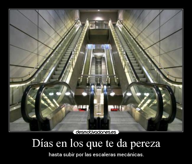 Días en los que te da pereza - hasta subir por las escaleras mecánicas.