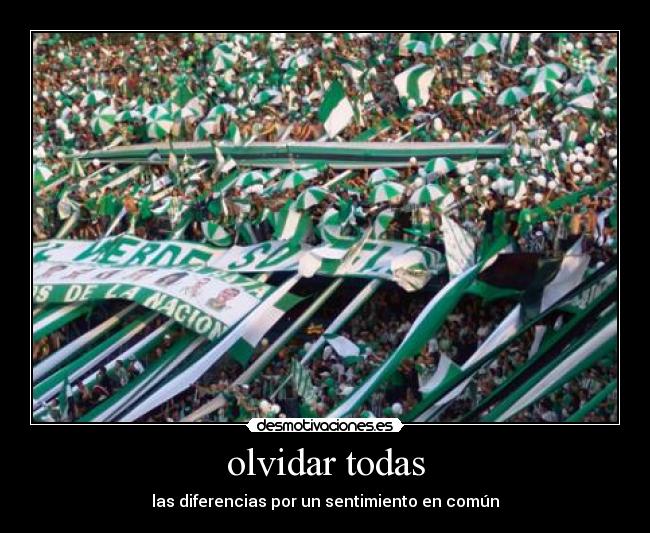 olvidar todas - las diferencias por un sentimiento en común