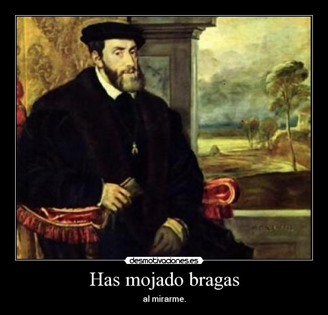 Has mojado bragas - al mirarme.