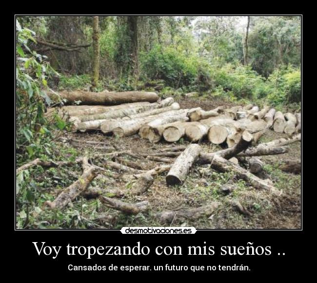 Voy tropezando con mis sueños .. -