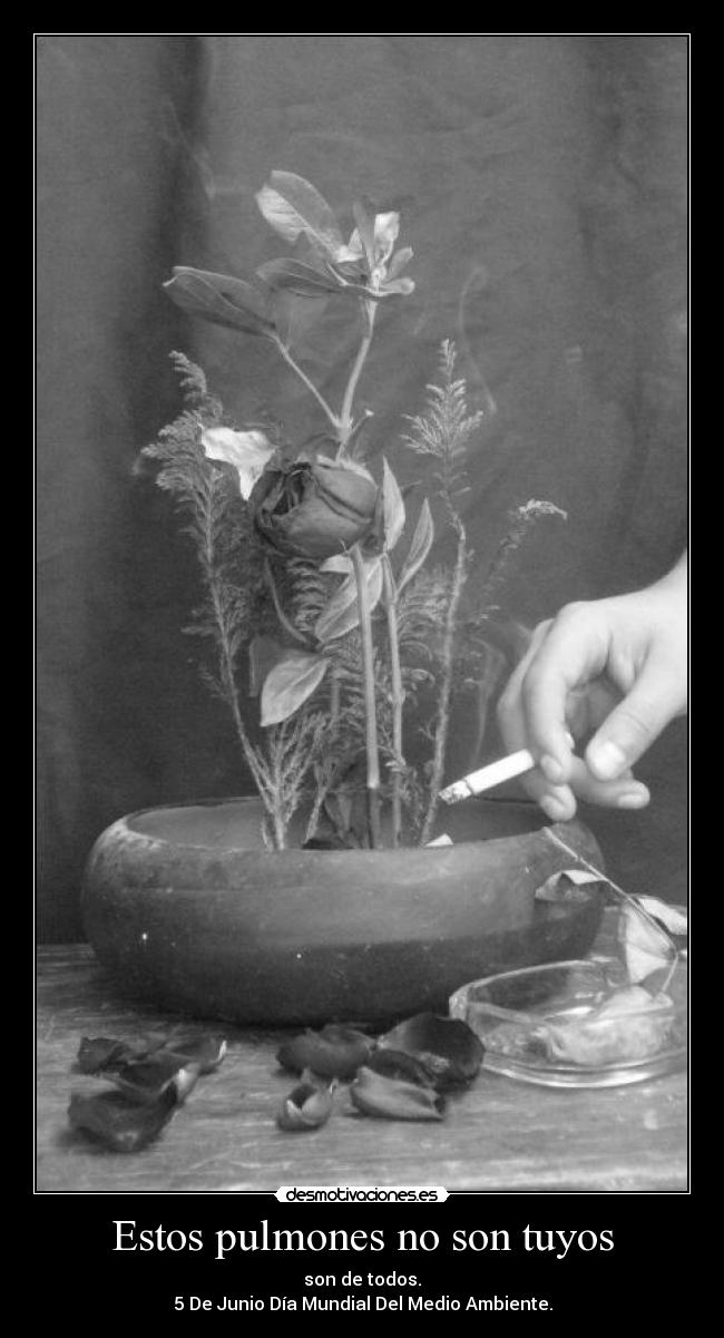 carteles medio ambiente desmotivaciones