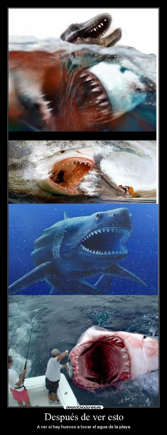 Después de ver esto - A ver si hay huevos a tocar el agua de la playa