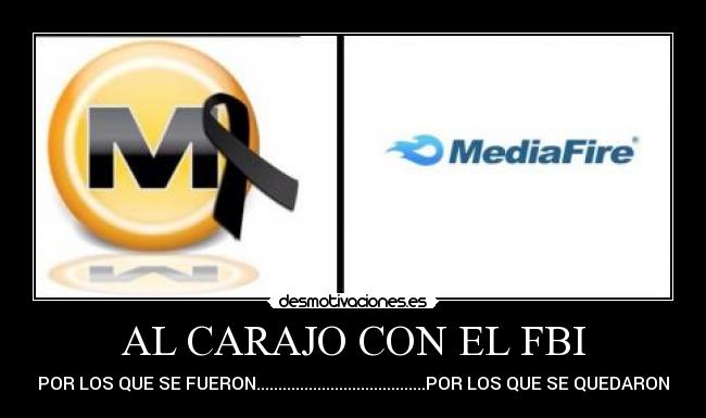 carteles mediafire megaupload desmotivaciones