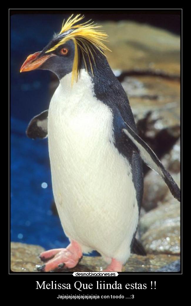 carteles sebas rodriiguez desmotivaciones