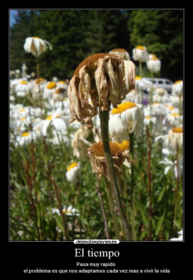 El tiempo - Pasa muy rapido 
el problema es que nos adaptamos cada vez mas a vivir la vida