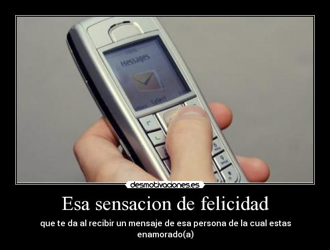 Esa sensacion de felicidad -