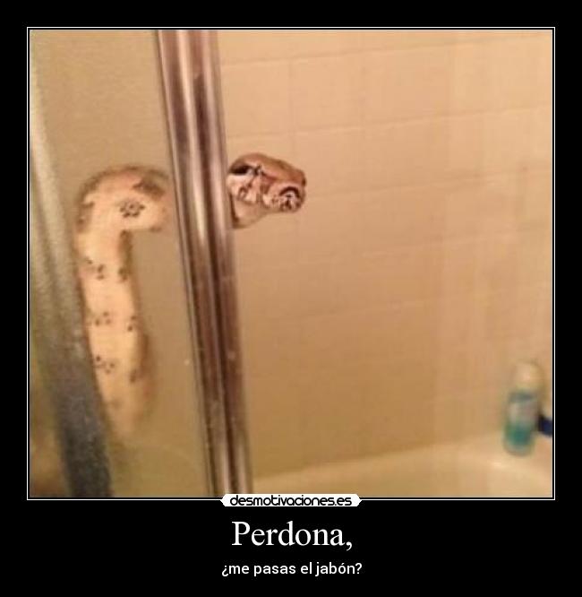 Perdona, - 