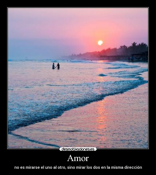 Amor - 