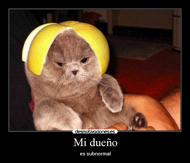 Mi dueño - 