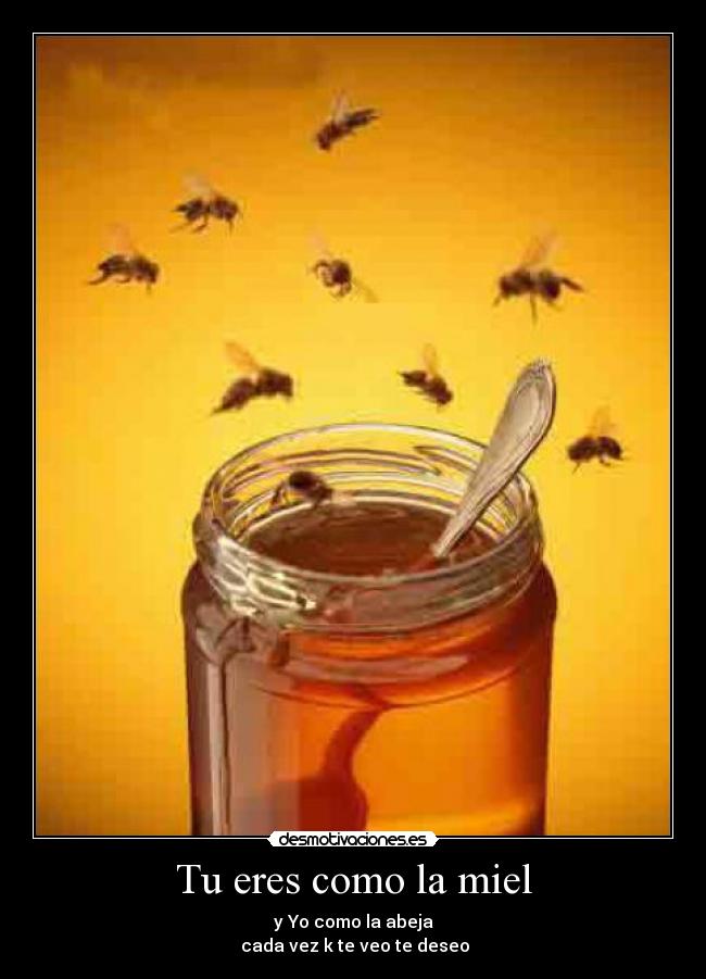 Tu eres como la miel - 