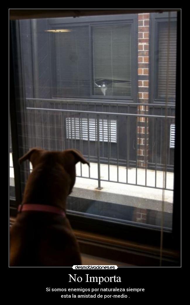 No Importa - Si somos enemigos por naturaleza siempre
esta la amistad de por-medio .