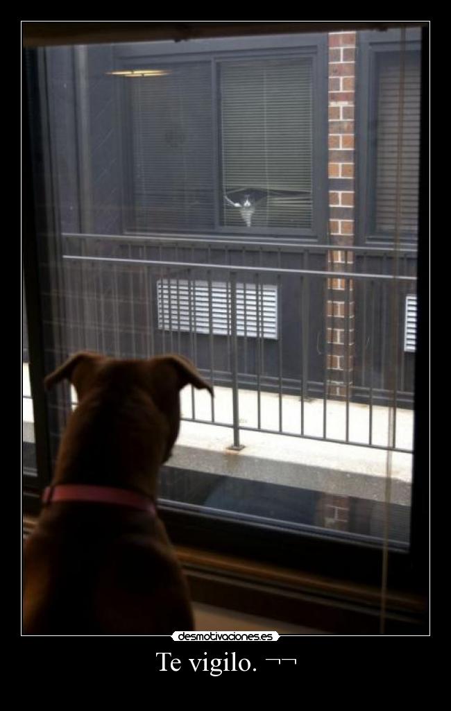 Te vigilo. ¬¬ -
