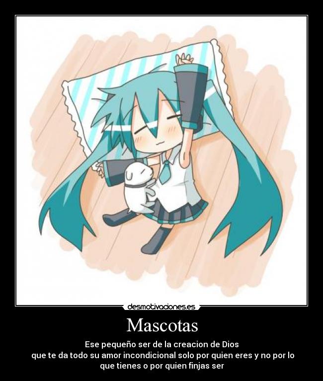 Mascotas - Ese pequeño ser de la creacion de Dios
que te da todo su amor incondicional solo por quien eres y no por lo
que tienes o por quien finjas ser