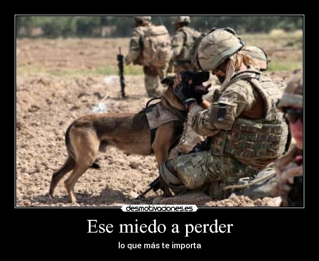 Ese miedo a perder - 