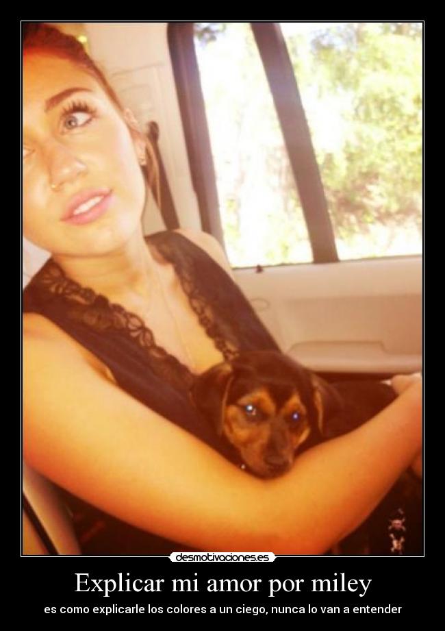 carteles amor amor desmotivaciones